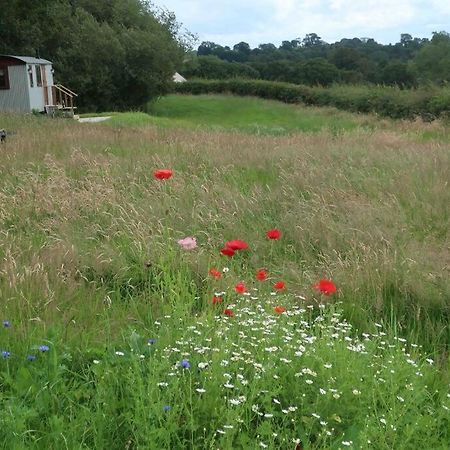 Little Idyll Shepherds Hut Villa Chester Esterno foto